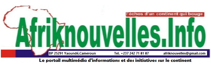 Afriknouvelles - L'Actualité et les échos des initiatives sur le continent.