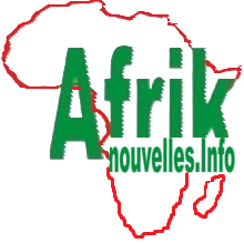 Afriknouvelles - L'Actualité et les échos des initiatives sur le continent.
